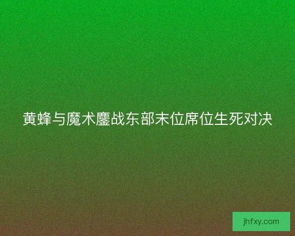 黄蜂与魔术鏖战东部末位席位生死对决